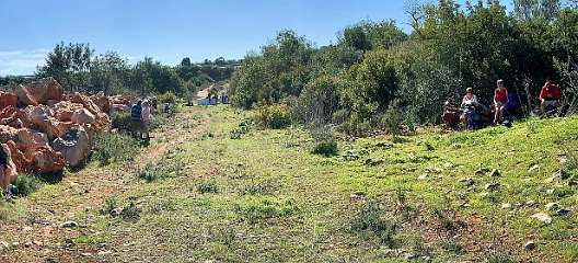 246: IMG_0641<br>  2019-02-08