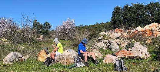 247: IMG_0644<br>  2019-02-08