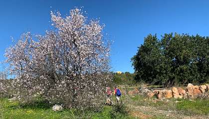 248: IMG_0646<br>  2019-02-08