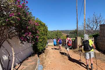 249: IMG_0650<br>  2019-02-08