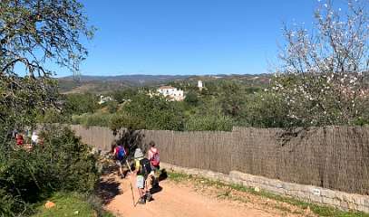 250: IMG_0651<br>  2019-02-08