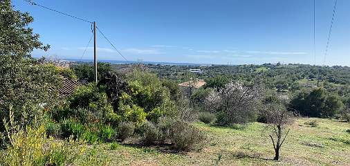 252: IMG_0654<br>  2019-02-08