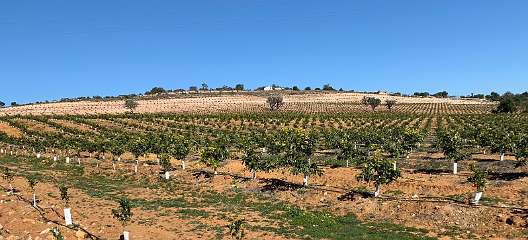 253: IMG_0655<br>  2019-02-08