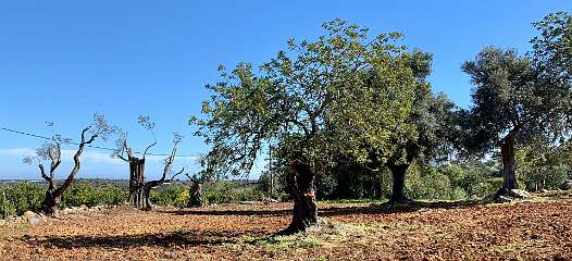 254: IMG_0659<br>  2019-02-08