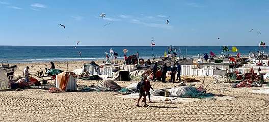 255: IMG_0662<br>  2019-02-10