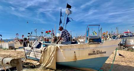 256: IMG_0663<br>  2019-02-10