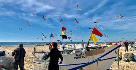 258: IMG_0666<br>  2019-02-10