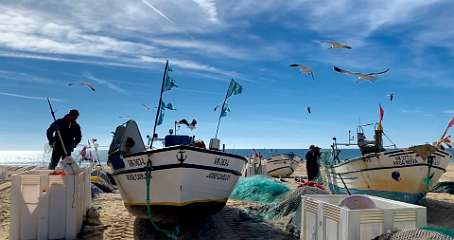 260: IMG_0668<br>  2019-02-10