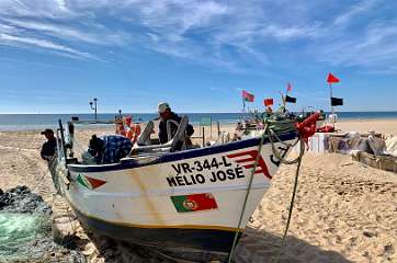 262: IMG_0671<br>  2019-02-10