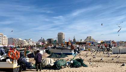 263: IMG_0672<br>  2019-02-10