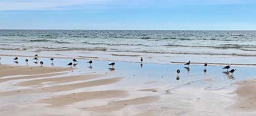 265: IMG_0676<br>  2019-02-10