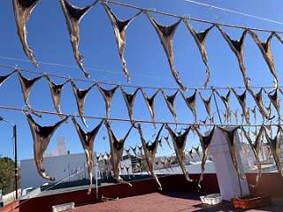 266: IMG_0679<br>  2019-02-11