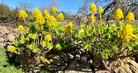 12: IMG_0686<br>  2019-02-11