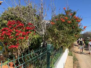 13: IMG_0687<br>  2019-02-11