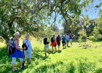 15: IMG_0692<br>  2019-02-11