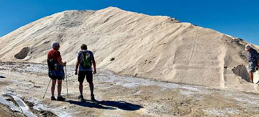 17: IMG_0701<br>  2019-02-11