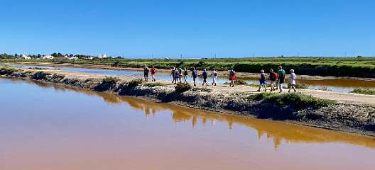 18: IMG_0703<br>  2019-02-11