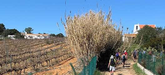 20: IMG_0707<br>  2019-02-11