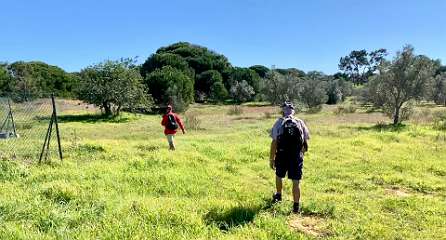 21: IMG_0710<br>  2019-02-11