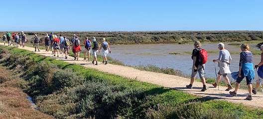 22: IMG_0711<br>  2019-02-11