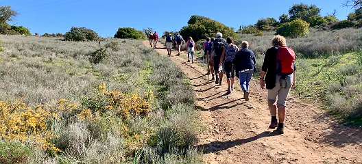 275: IMG_0729<br>  2019-02-13