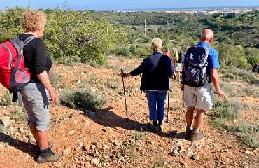 276: IMG_0730<br>  2019-02-13