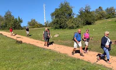 277: IMG_0731<br>  2019-02-13