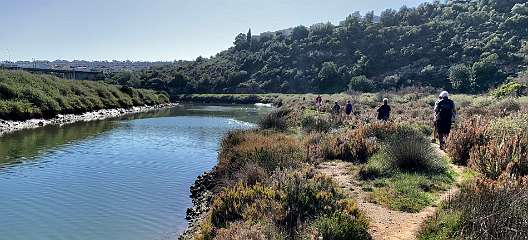 279: IMG_0737<br>  2019-02-13