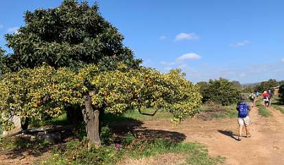 280: IMG_0739<br>  2019-02-14