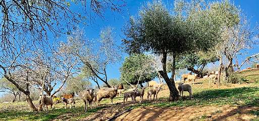 281: IMG_0740<br>  2019-02-14