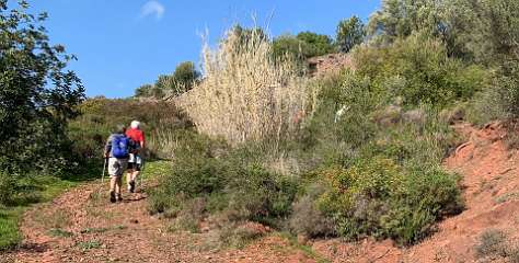 282: IMG_0741<br>  2019-02-14