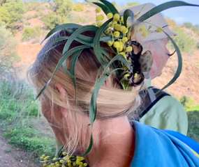 283: IMG_0742<br>  2019-02-14