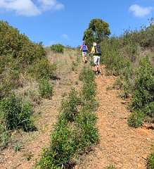 284: IMG_0744<br>  2019-02-14