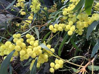 287: IMG_0750<br>  2019-02-14