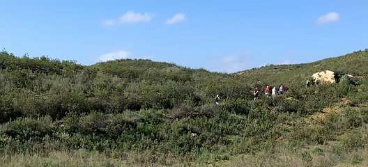 288: IMG_0751<br>  2019-02-14