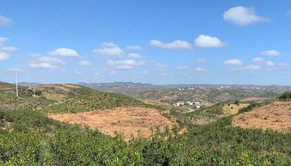 289: IMG_0752<br>  2019-02-14