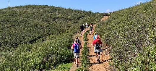 290: IMG_0753<br>  2019-02-14