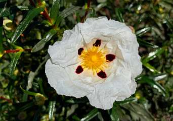 291: IMG_0756<br>  2019-02-14