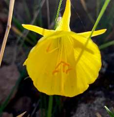 294: IMG_0762<br>  2019-02-14