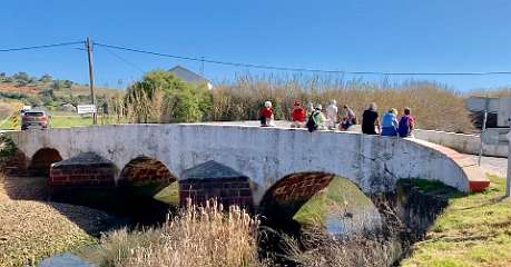 297: IMG_0766<br>  2019-02-14