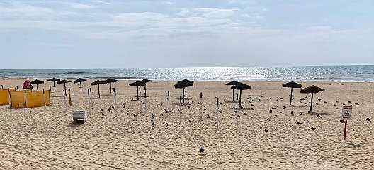 299: IMG_0769<br>  2019-02-17