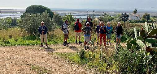 303: IMG_0796<br>  2019-02-20