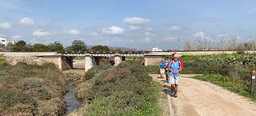 304: IMG_0797<br>  2019-02-20