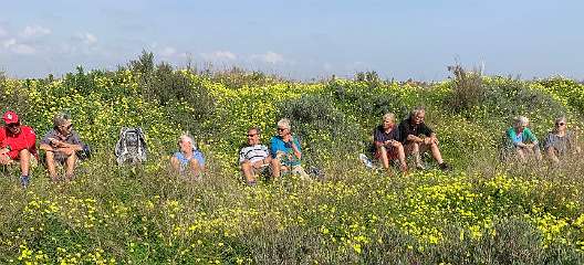 305: IMG_0798<br>  2019-02-20