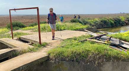 306: IMG_0799<br>  2019-02-20