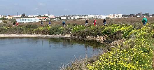 308: IMG_0801<br>  2019-02-20