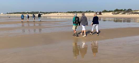 309: IMG_0813<br>  2019-02-22