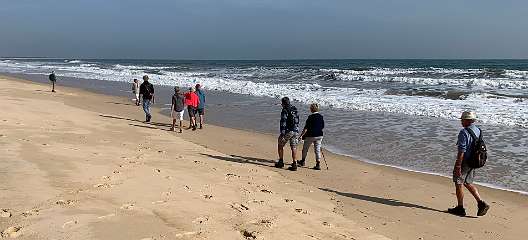 325: IMG_0862<br>  2019-02-22