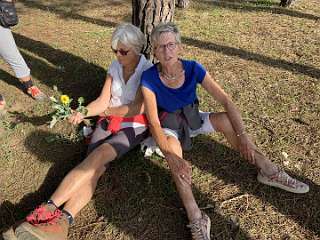 327: IMG_0865<br>  2019-02-22