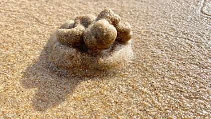 330: IMG_0868<br>  2019-02-23